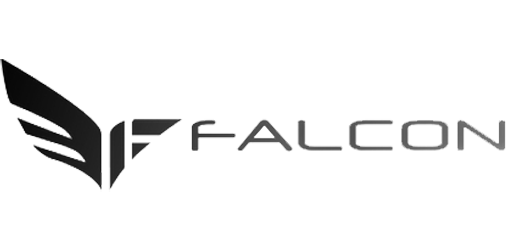 Логотип FALCON