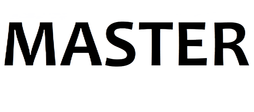 Логотип MASTER